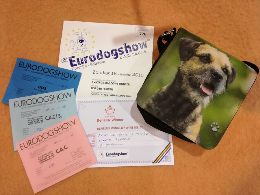 Eurodogshow Kortrijk