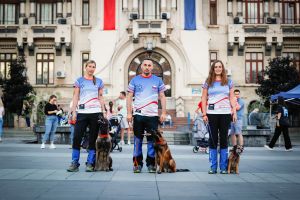 WORLD CHAMPIONSHIP of rescue dogs  IRO 2022