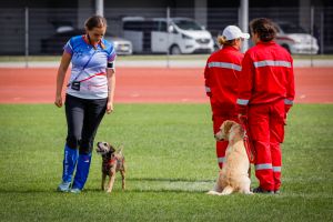 MS záchranářských psů IRO 2022